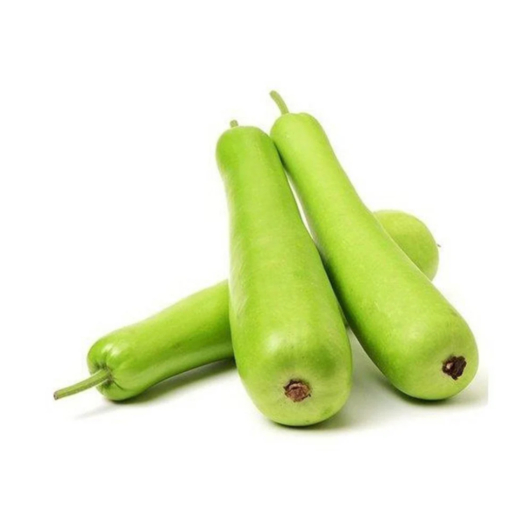 Bottle Gourd, 1 Piece